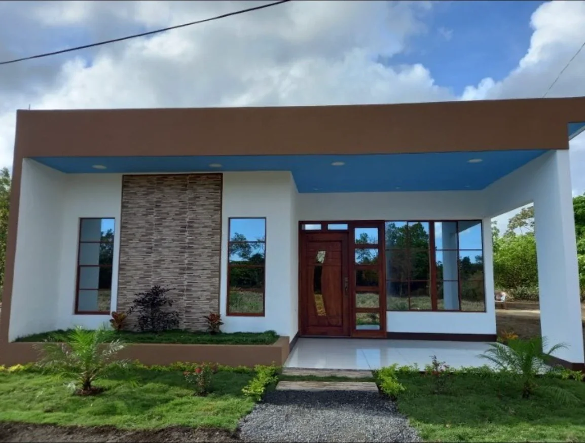 Casa blanca con alero marrón, cielo raso azul y puerta de madera